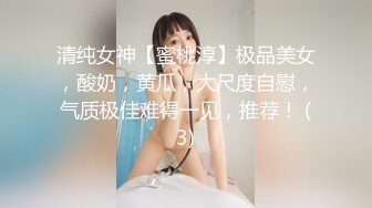 清纯女神【蜜桃淳】极品美女，酸奶，黄瓜，大尺度自慰，气质极佳难得一见，推荐！ (3)