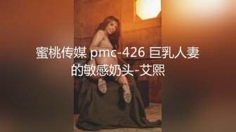 蜜桃传媒 pmc-426 巨乳人妻的敏感奶头-艾熙