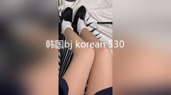 韩国bj korean 530