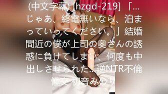 (中文字幕) [hzgd-219] 「…じゃあ、終電無いなら、泊まっていってください。」結婚間近の僕が上司の奥さんの誘惑に負けてしまい、何度も中出しさせられた…逆NTR不倫性交 初音みのり