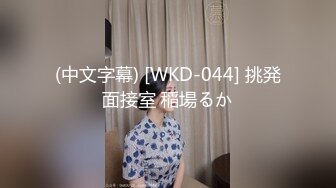 (中文字幕) [WKD-044] 挑発面接室 稲場るか