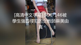 [高清中文字幕] SOE-146被學生強姦侵犯的女教師麻美由真