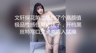 文轩探花第二场约了个高颜值极品性感包臀裙妹子，开档黑丝特写口交骑乘后入猛操